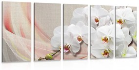 5-részes kép fehér orchidea