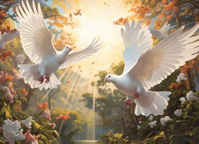 Poszter 18x13cm Galambok a reggelben