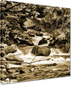 Vászonkép 30x30 Tátra Lengyel hegyek Kilátás