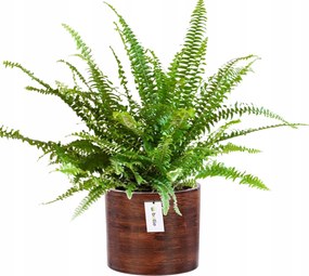 Virágcserép kerámia fedél Ø 12,5cm H 12cm szín Sötét fa matt