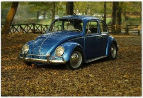 Poszterek 185x125 Bogár Vw autó]