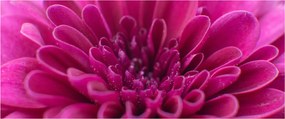 Virágos kép (120x50 cm)