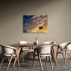 Kép - Pálmafák a felhők között (üvegen) (70x50 cm)