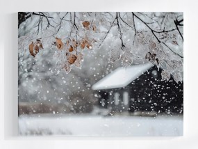 Vászonkép Canvas Tájkép Ház Fa Tél Hó Dér Jég Fagy 80x60