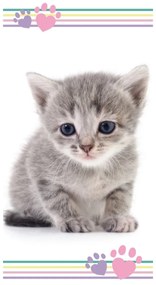 Kitten colour strandtörölköző, 70 x 140 cm