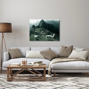 Kép - Lámák a perui Machu Picchunál (70x50 cm)