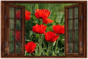 Poszterek 90x60 Pipacs Virágok