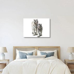 Kép - A fehér tigris (70x50 cm)