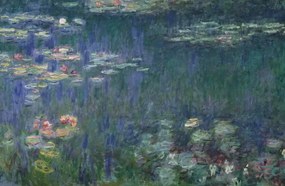 Reprodukció Tavirózsák, Monet, Claude