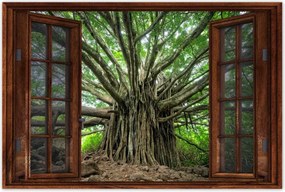 Poszterek 90x60 Fa Kilátás