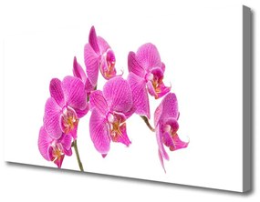 Vászonkép nyomtatás Orchidea virágok Természet 100x50 cm