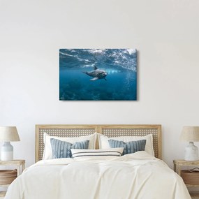 Kép - Delfin a felszín alatt (90x60 cm)