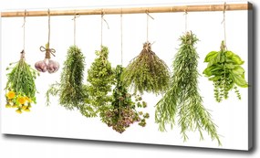 Vászonkép Gyógynövények zsinóron 100x70 cm
