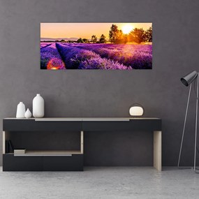 Levandula mező képe (120x50 cm)