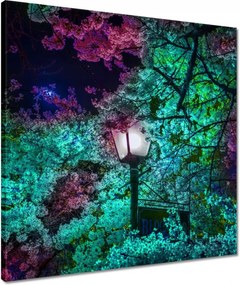 Vászonkép 50x50 Éjszakai motívum a konyhába