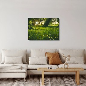 Tájkép - rét (üvegen) (70x50 cm)