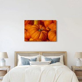Kép - Nagyszerű sütőtök (90x60 cm)
