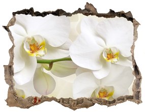 Lyuk 3d fali matrica Orchidea nd-k-123330197
