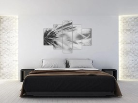 Kép - Pitypang (150x105 cm)