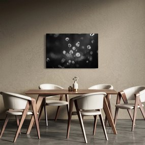 Kép - Pamutfű a réten (90x60 cm)