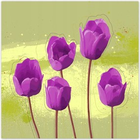 Poszterek 70x70 Pipacsok Modern grafika