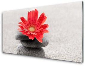 Üvegfotó gerbera virág 100x50 cm