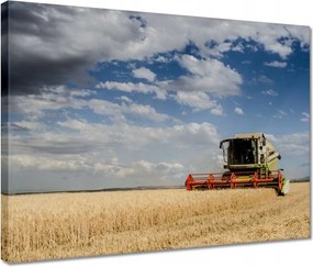 Vászonkép 40x30 Kombájn az aratás idején
