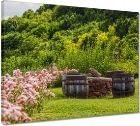 Vászonkép 50x40 Csodálatos kert