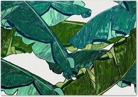 Üveg falpanel Banánlevél Ragasztó Ingyenes