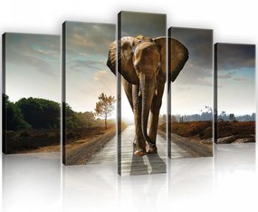Vászonkép 5 darabos, Elefánt 100x60 cm méretben