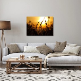 A lenyugvó nap képe (üvegen) (70x50 cm)