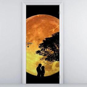 Fotótapéta ajtóra - Árnyak a holdfényben (95x205cm)