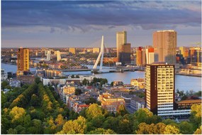 Kép - panoráma Rotterdam, Hollandia (90x60 cm)