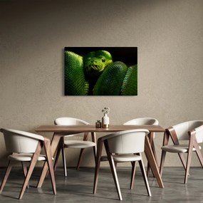 Kép - Zöld kígyó (90x60 cm)