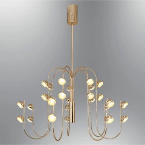 Aster - 2843-20A-03