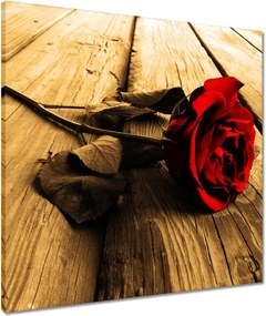 Vászonkép 60x60 Rózsa szépia deszkákon