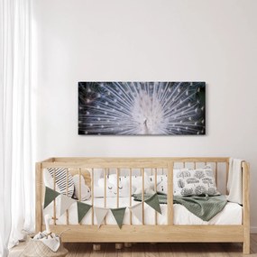 Kép - Fehér páva (120x50 cm)
