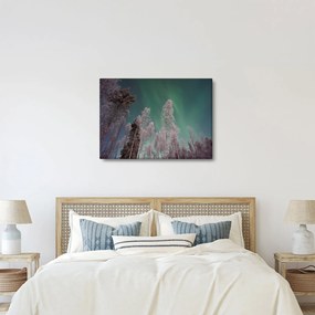 Az aurora borealis képe fagyos fák felett (70x50 cm)