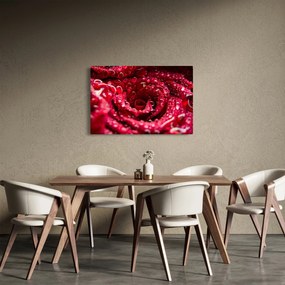 Vörös rózsa virágzata képe (90x60 cm)