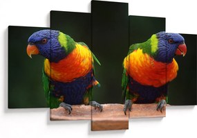 Papagájok képe (150x105 cm)