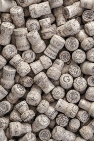 Poszter 30x45cm Pezsgős dugók, Assaf Frank