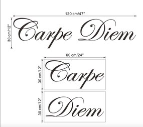 Falmatrica "Carpe Diem" 30x120cm
