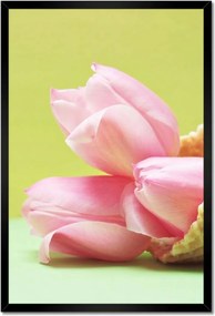 Poszterek keretben 40x60 Tulipánok ízlés szerint