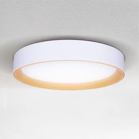 Brilagi -LED Dimmelhető lámpa LARIOS LED/60W/230V 3000-6500K ø 49 cm fehér + távirányító