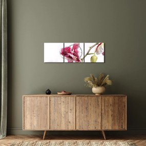 Orchidea virág képe (órával) (90x30 cm)