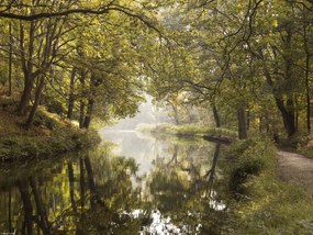 Poszter 40x30cm Csatorna Basingstoke 2, Assaf Frank