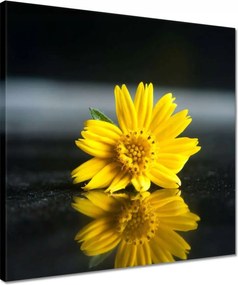 Vászonkép 40x40 Sárga virág