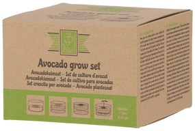 Üveg csíráztató tálka ø 14 cm Avocado – Esschert Design