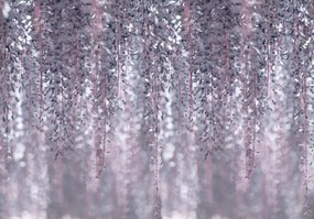 Fotótapéta Levelek Visztérium Beton Természet Fali Tapéta 368x254