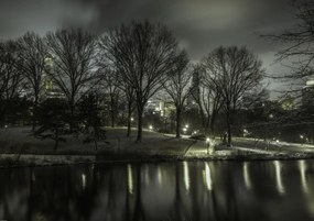 Poszter 84,1x59,4cm Central Park éjszaka 2, Assaf Frank